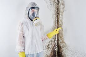 Best Air Quality Testing for Mold Spores  in Vincent, AL